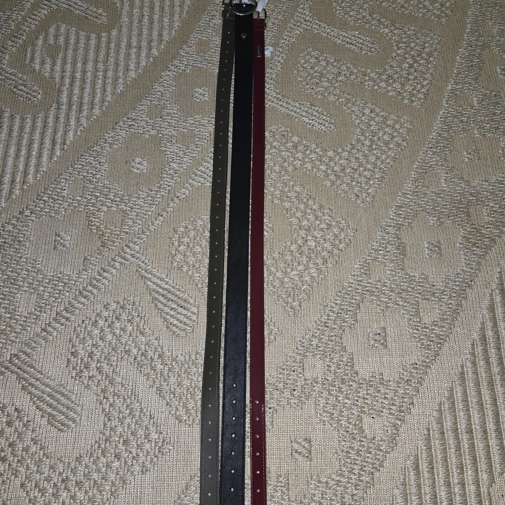 Steve Madden Trio Belt Set in Black, Brown, and Red - Picture 9 of 10